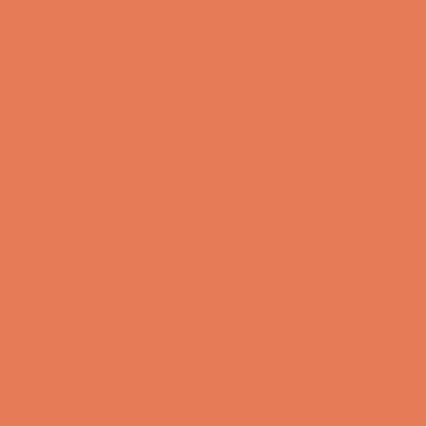 Organic Mid-weight Rib Socks - Apricot